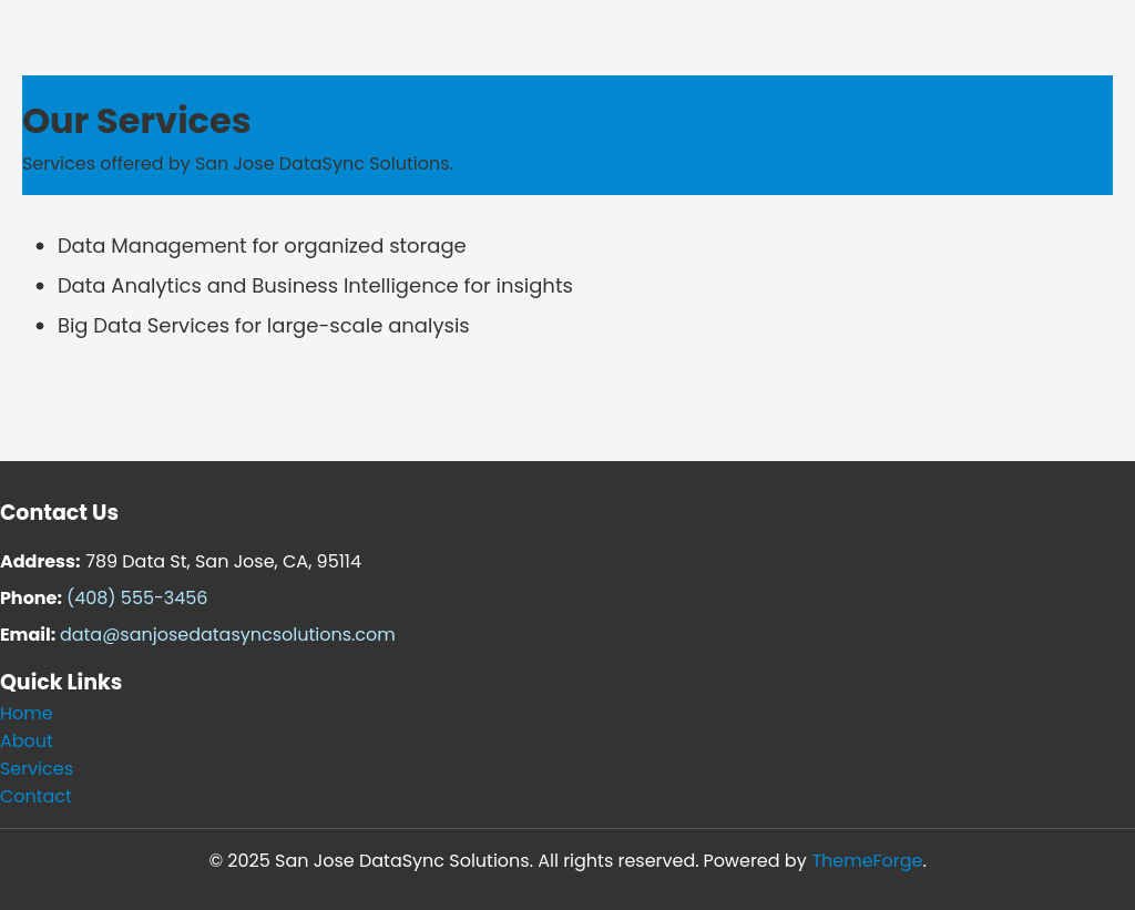Forgevista It Services Data Services Classic Lite - Image 4