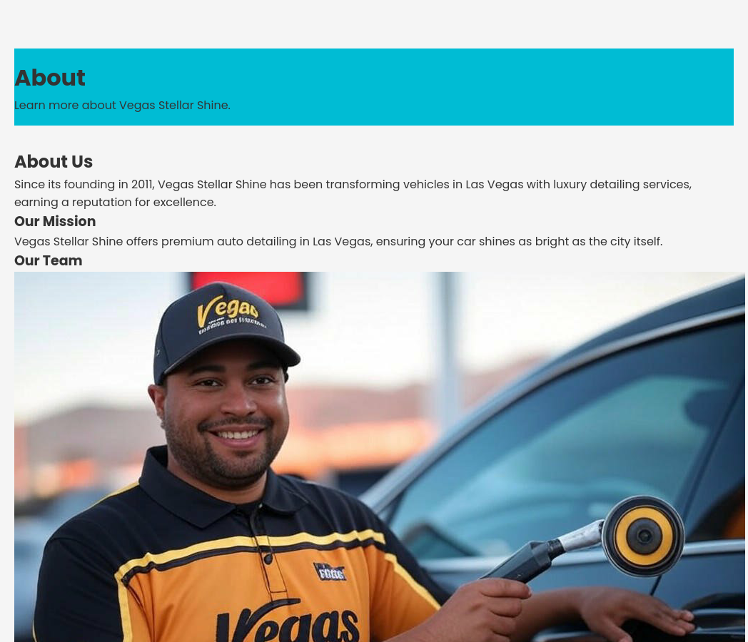 Forgevista Automotive Auto Detailing Vibrant Tech Premium - Image 2