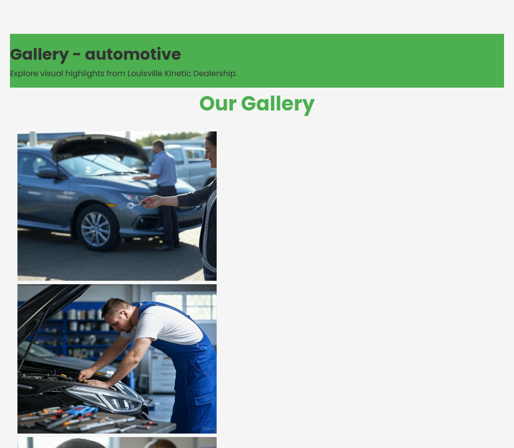 Forgevista Automotive Sales Service Urban Garden Premium - Image 2