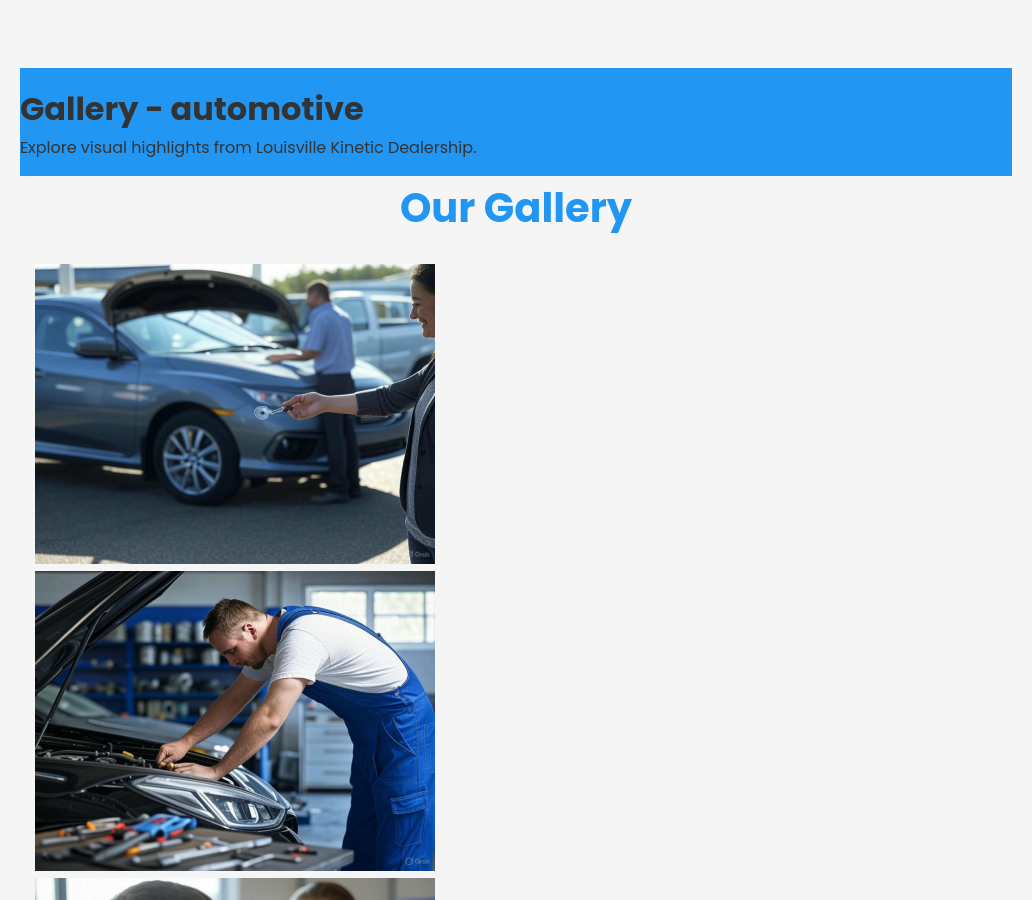 Forgevista Automotive Sales Service Nordic Breeze Premium - Image 3