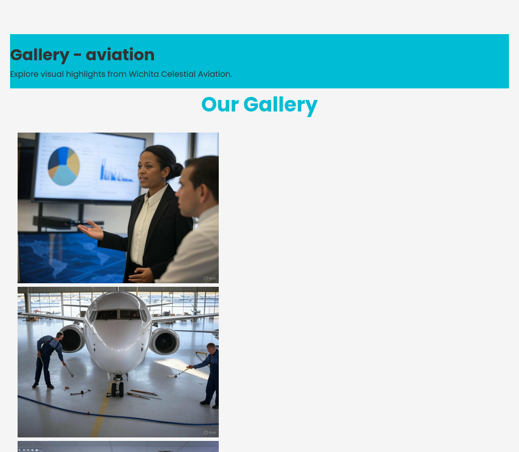 Forgevista Aviation Vibrant Tech Premium - Image 3