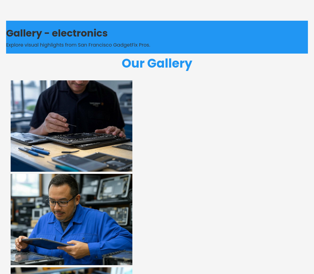 Forgevista Electronics Gadget Repair Nordic Breeze Premium - Image 3